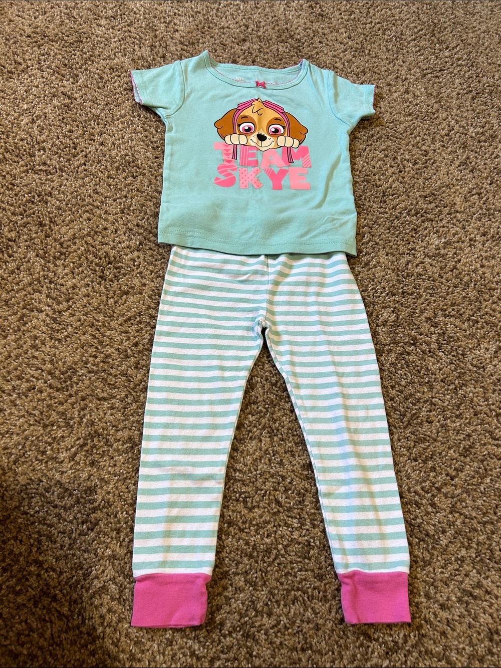 Carter's Mint & Pink Paw Patrol Skye Short-Sleeve Pajama Set